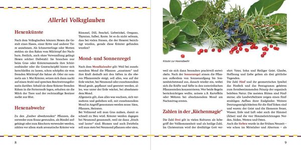 Produktbild: Rezepte aus meiner Hexenk&uuml;che
