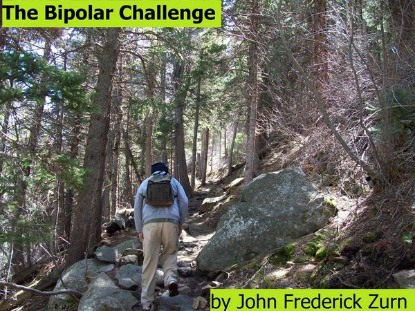 Produktbild: The Bipolar Challenge