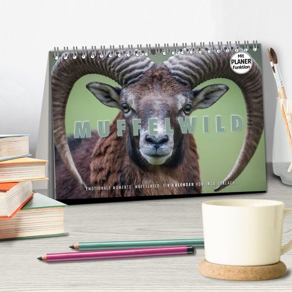 Produktbild: Emotionale Momente: Muffelwild. (Tischkalender 2026 DIN A5 quer), CALVENDO Monatskalender