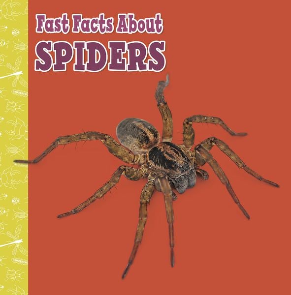 Produktbild: Fast Facts About Spiders