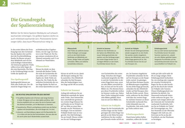 Produktbild: Obstgeh&ouml;lze schneiden