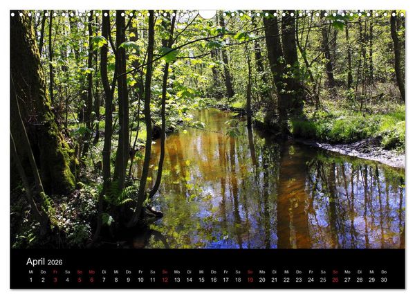 Produktbild: L&uuml;neburg und die L&uuml;neburger Heide (Wandkalender 2026 DIN A3 quer), CALVENDO Monatskalender