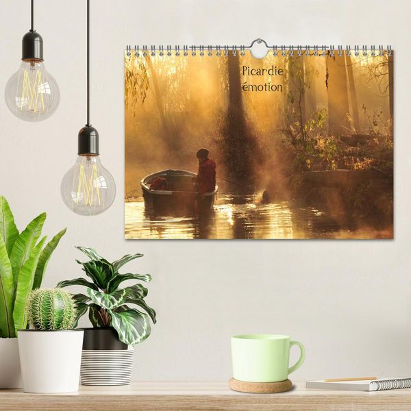 Produktbild: Picardie &eacute;motion (Calendrier mural 2026 DIN A4 vertical), CALVENDO calendrier mensuel