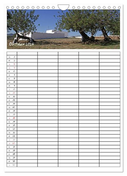 Produktbild: Ibiza / Familienplaner (Wandkalender 2026 DIN A4 hoch), CALVENDO Monatskalender