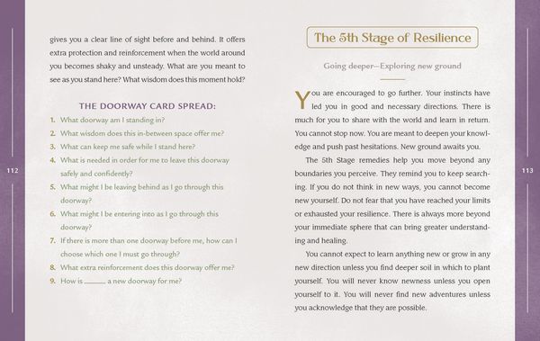 Produktbild: Resilience Alchemy