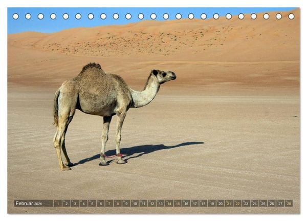 Produktbild: Sultanat Oman (Tischkalender 2026 DIN A5 quer), CALVENDO Monatskalender