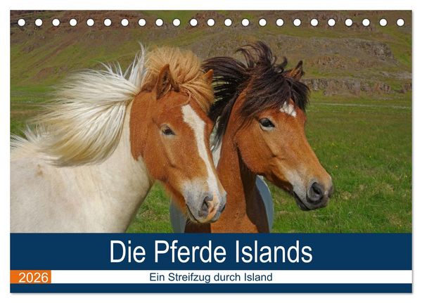 Die Pferde Islands - Ein Streifzug durch Island (Tischkalender 2026 DIN A5 quer), CALVENDO Monatskalender