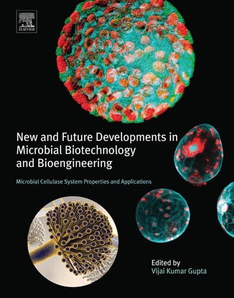 Produktbild: New and Future Developments in Microbial Biotechnology and Bioengineering