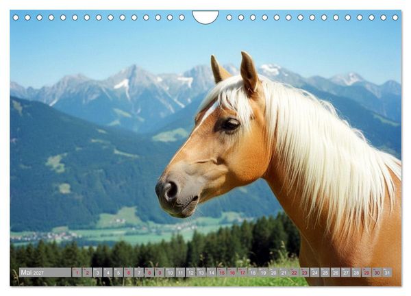 Produktbild: Alpent&auml;ler und Haflinger Pferde (Wandkalender 2027 DIN A4 quer), CALVENDO Monatskalender