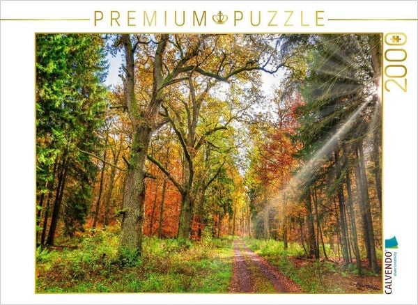 CALVENDO Puzzle Märchenhafter Wald mit knorrigen Eichen im Herbstlicht lädt zum Wandern ein, Hessen Deutschland | 2000 Teile Lege-Größe 90x67cm Foto-Puzzle für glückliche Stunden