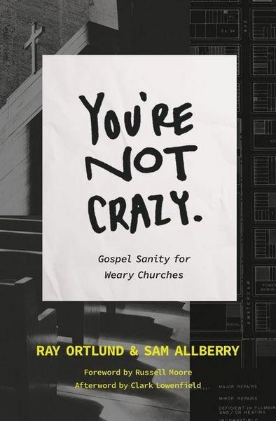 Produktbild: You're Not Crazy