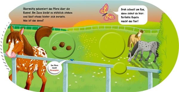 Produktbild: Dreh das Rad und find&acute;s heraus!: Welches Tier macht Kacka hier?