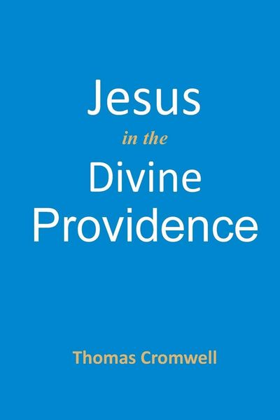Produktbild: Jesus in the Divine Providence