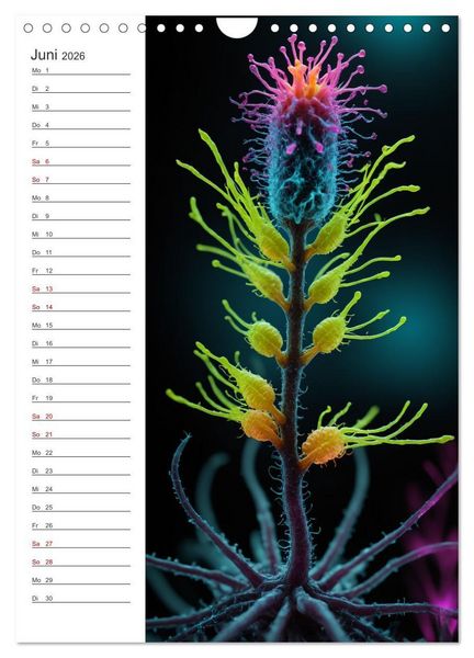Produktbild: Leuchtende Mikroflora (Wandkalender 2026 DIN A4 hoch), CALVENDO Monatskalender