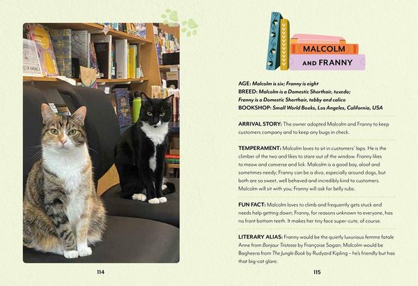 Produktbild: Bookshop Cats Hb