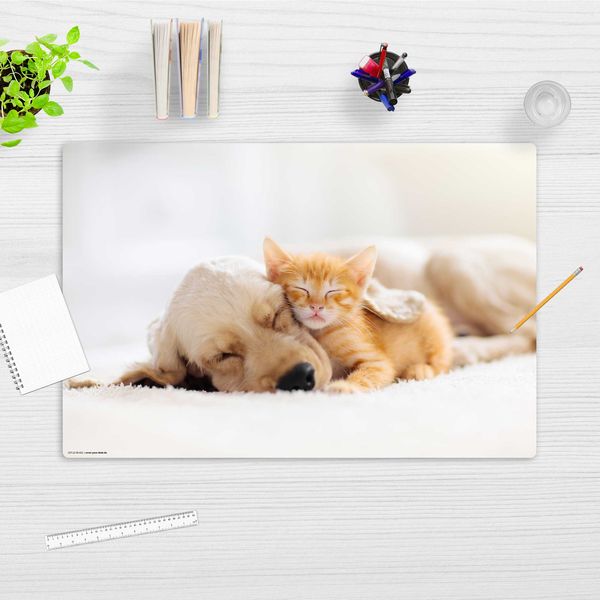 Produktbild: Cover-your-desk Schreibtischunterlage f&uuml;r Kinder und Erwachsene Freundschaft zwischen Katze und Hund, aus hochwertigem Vinyl , 60 x 40 cm