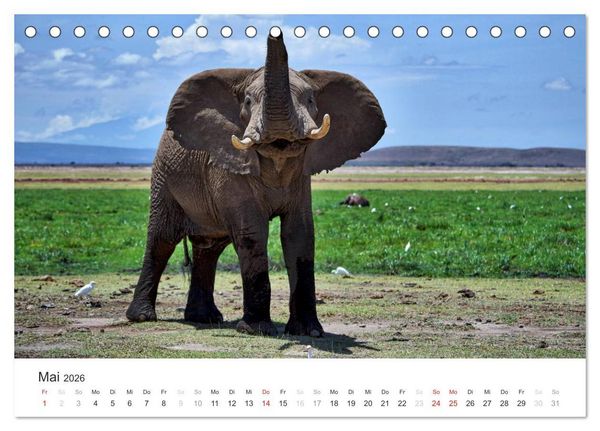 Produktbild: Elefanten - Sanfte Riesen in Afrika (Tischkalender 2026 DIN A5 quer), CALVENDO Monatskalender