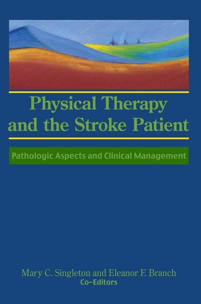 Produktbild: Physical Therapy and the Stroke Patient