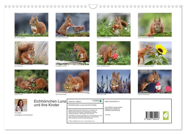 Produktbild: Eichh&ouml;rnchen Luna und ihre Kinder (Wandkalender 2026 DIN A3 quer), CALVENDO Monatskalender