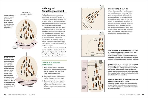 Produktbild: Temple Grandin's Guide to Working with Farm Animals
