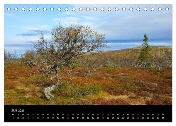 Produktbild: B&auml;ume (Tischkalender 2026 DIN A5 quer), CALVENDO Monatskalender