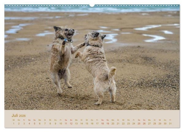 Produktbild: Cairns Forever (hochwertiger Premium Wandkalender 2026 DIN A2 quer), Kunstdruck in Hochglanz