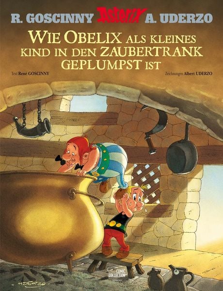 Produktbild: Wie Obelix als kleines Kind in den Zaubertrank geplumpst ist
