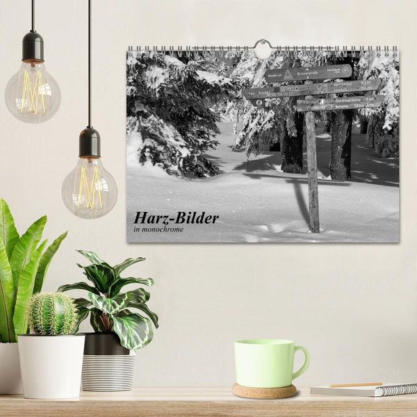 Produktbild: Harz-Bilder in monochrome (Wandkalender 2026 DIN A4 quer), CALVENDO Monatskalender