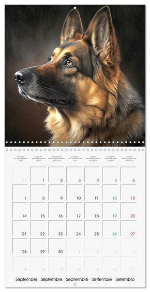 Produktbild: Portraits de grands chiens (Calendrier mural carr&eacute; 2026 30x30 cm) Calendrier double avec une page pour vos prises de notes