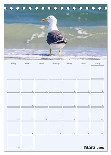 Produktbild: Wildes Leben auf Helgoland (Tischkalender 2026 DIN A5 hoch), CALVENDO Monatskalender