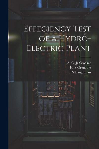 Produktbild: Effeciency Test of a Hydro-electric Plant
