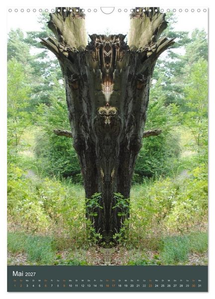 Produktbild: Spiegelwelten - Botschaften der Naturwesen (Wandkalender 2027 DIN A3 hoch), CALVENDO Monatskalender