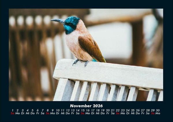 Produktbild: Vogelparadies 2026 Fotokalender DIN A4