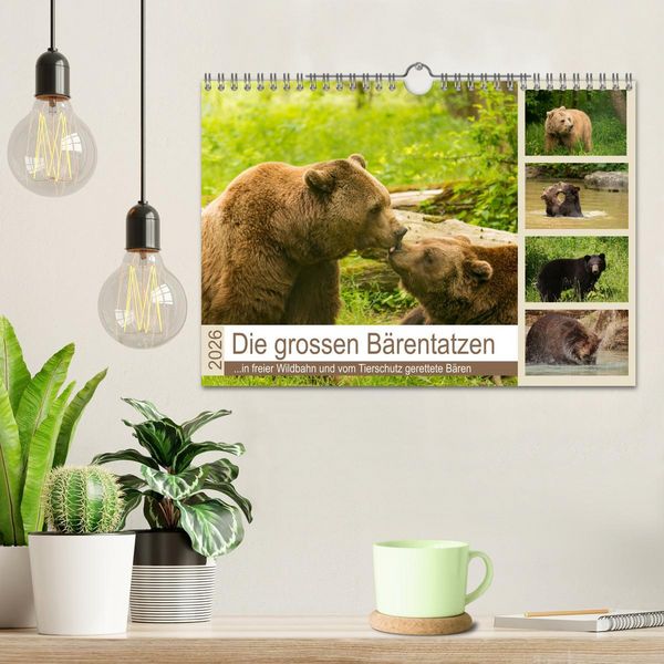 Produktbild: Die grossen B&auml;rentatzen (Wandkalender 2026 DIN A4 quer), CALVENDO Monatskalender