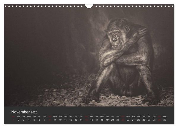 Produktbild: African Souls African animals with soul (Wall Calendar 2026 DIN A3 landscape), CALVENDO 12 Month Wall Calendar