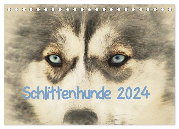 Schlittenhunde 2024 (Tischkalender 2024 DIN A5 quer), CALVENDO Monatskalender