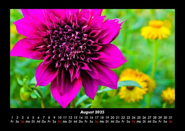 Produktbild: Blumentr&auml;ume 2025 Fotokalender DIN A3