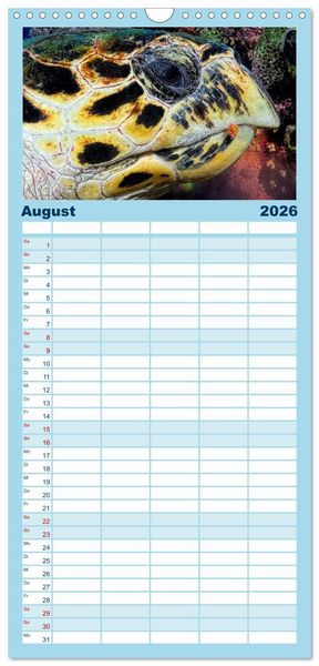 Produktbild: Familienplaner 2026 - Schildkr&ouml;ten des Ozeans mit 5 Spalten (Wandkalender, 21 x 45 cm) CALVENDO