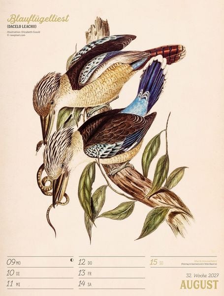 Produktbild: Wunderbare Vogelwelt Wochenplaner Kalender 2027