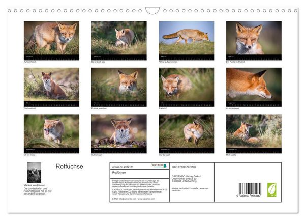 Produktbild: Rotf&uuml;chse (Wandkalender 2026 DIN A3 quer), CALVENDO Monatskalender