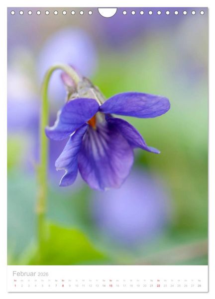 Produktbild: Wiesenblumen (Wandkalender 2026 DIN A4 hoch), CALVENDO Monatskalender