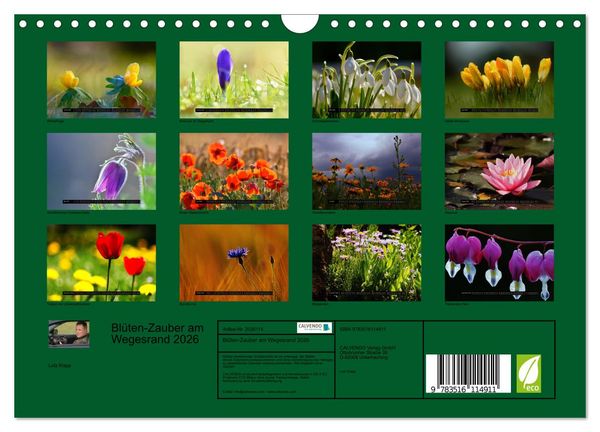 Produktbild: Bl&uuml;ten-Zauber am Wegesrand 2026 (Wandkalender 2026 DIN A4 quer), CALVENDO Monatskalender