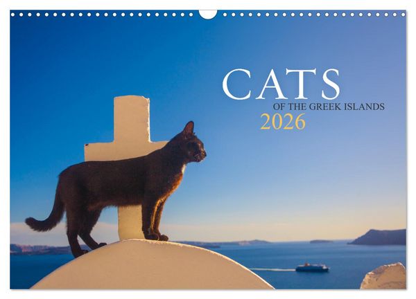 Cats of the Greek Islands (Wall Calendar 2026 DIN A3 landscape), CALVENDO 12 Month Wall Calendar