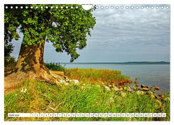 Produktbild: Naturparadies Zierow - Ostsee Idylle pur in der Wismarer Bucht (Wandkalender 2026 DIN A4 quer), CALVENDO Monatskalender