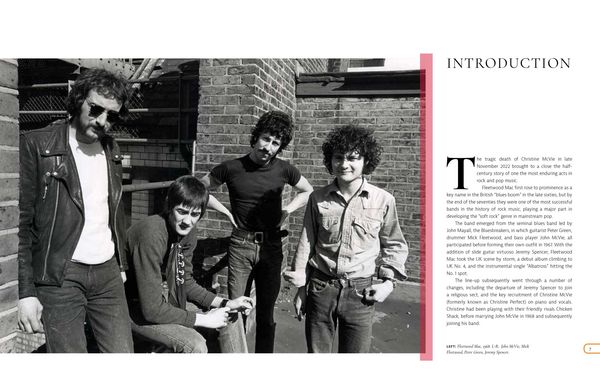 Produktbild: Fleetwood Mac Everywhere