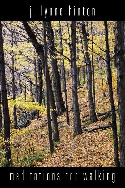 Produktbild: Meditations for Walking