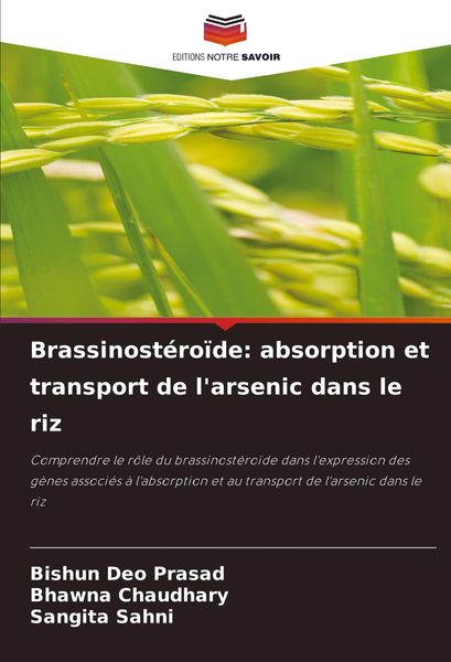 Produktbild: Brassinost&eacute;ro&iuml;de: absorption et transport de l'arsenic dans le riz