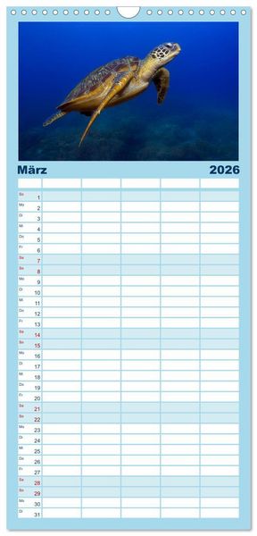 Produktbild: Familienplaner 2026 - Schildkr&ouml;ten des Ozeans mit 5 Spalten (Wandkalender, 21 x 45 cm) CALVENDO