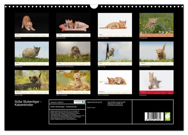 Produktbild: S&uuml;&szlig;e Stubentiger - Katzenkinder (Wandkalender 2026 DIN A3 quer), CALVENDO Monatskalender