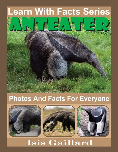 Produktbild: Anteater Photos and Facts for Everyone (Learn With Facts Series, #75)